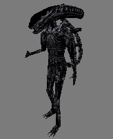 Alien Half-Life Deathmatch Player Model