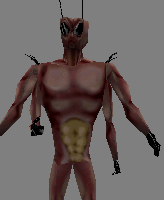 Cockroach Half-Life Player Models