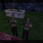 Vampire Slayer - The Slayer Team
