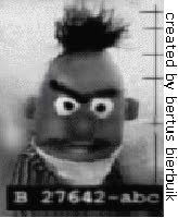 Bert