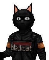 Blackcat