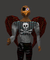 Pirate_Hawk